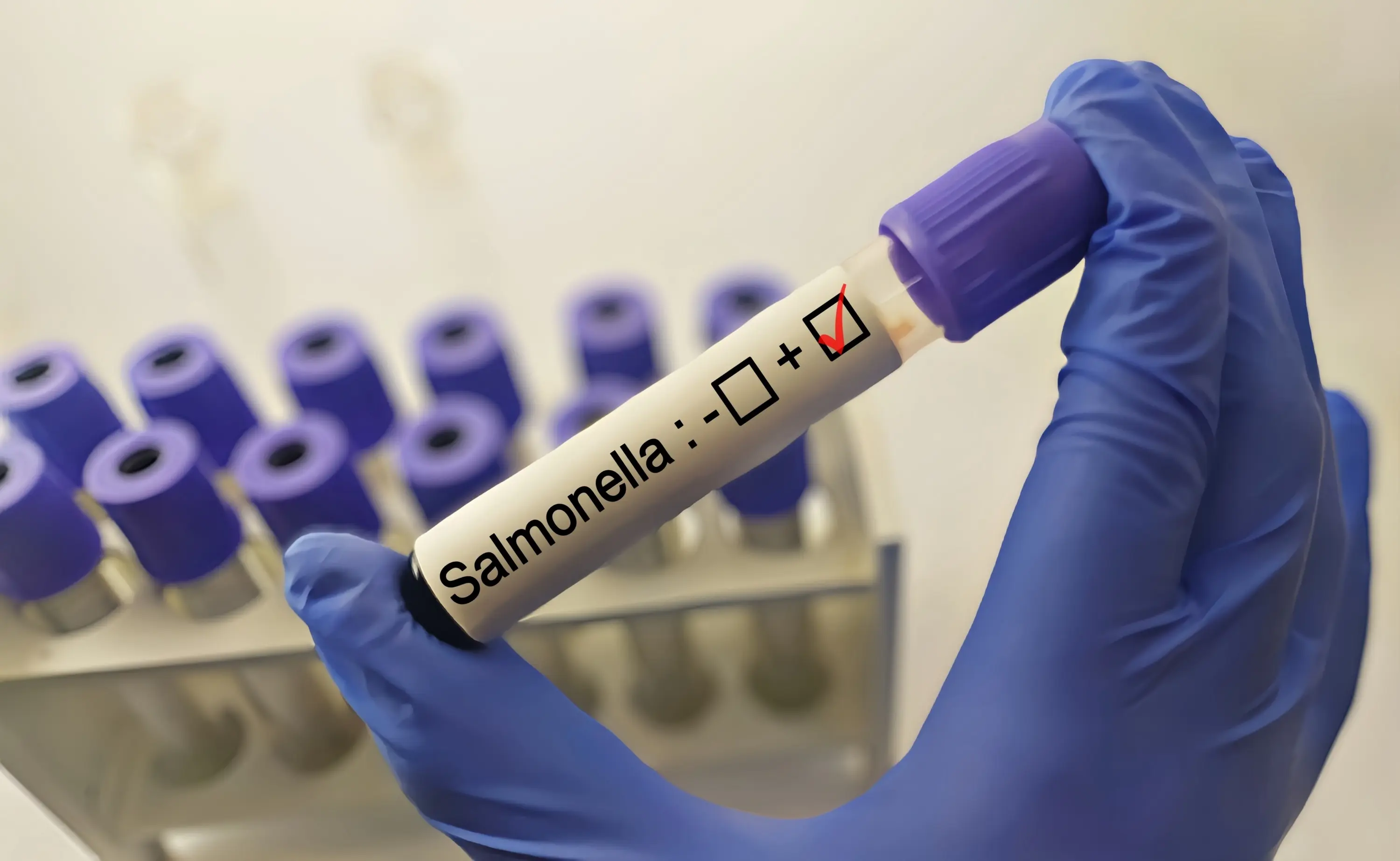 Salmonella: What You Need to Know to Stay Safe