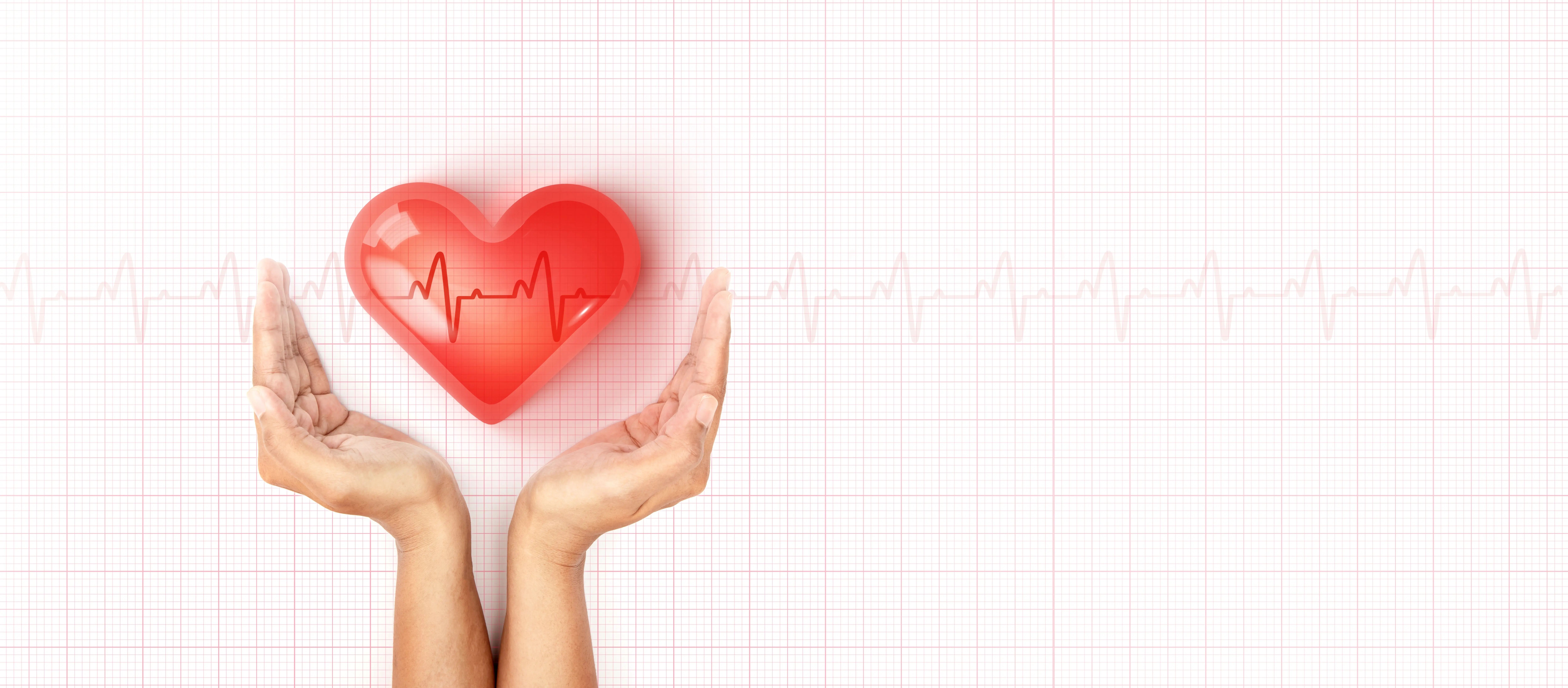 The Secret of a Beating Heart: The Power of Heart-Friendly Nutrition