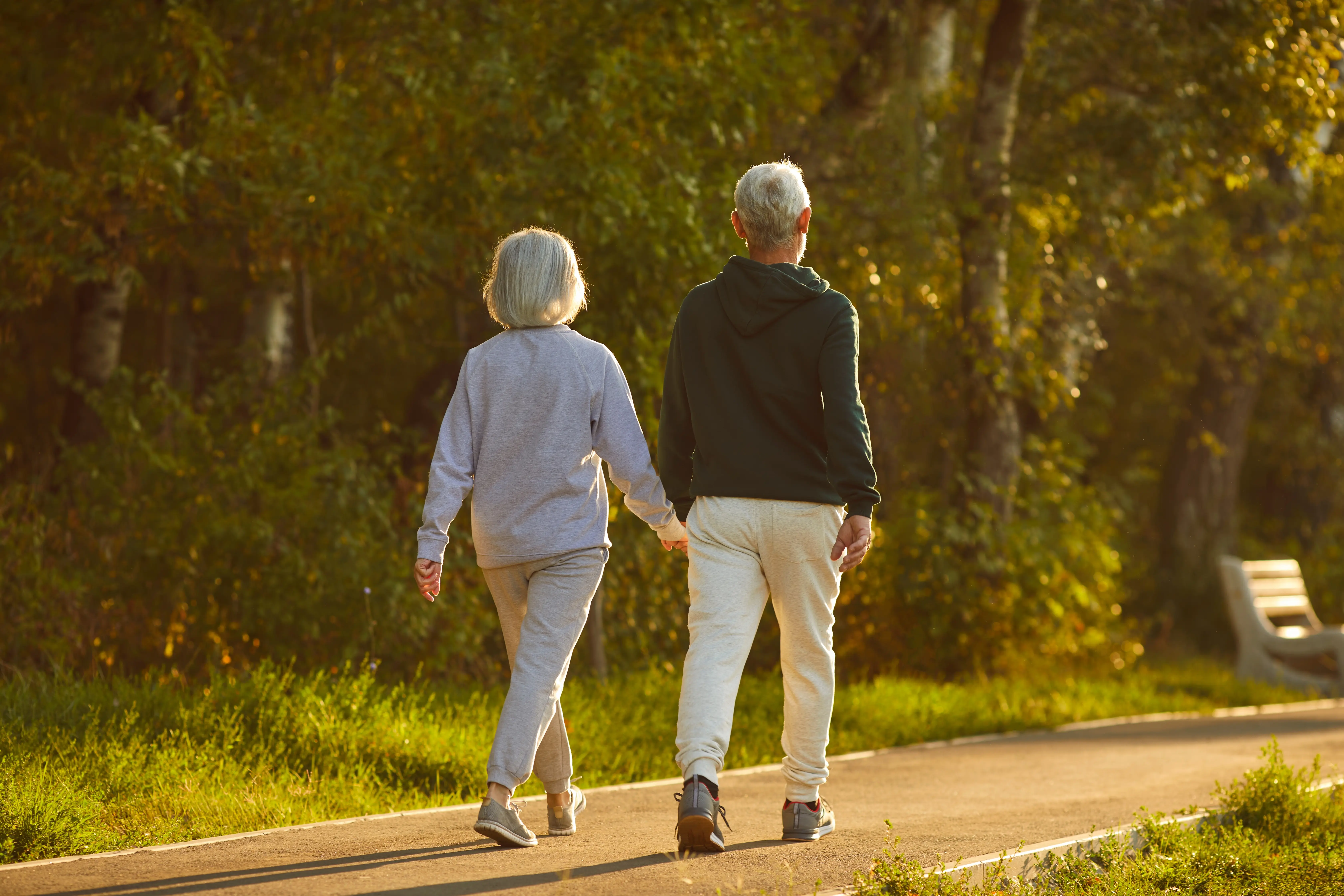 Longevity Nutrition: The Golden Rules of Healthy Aging